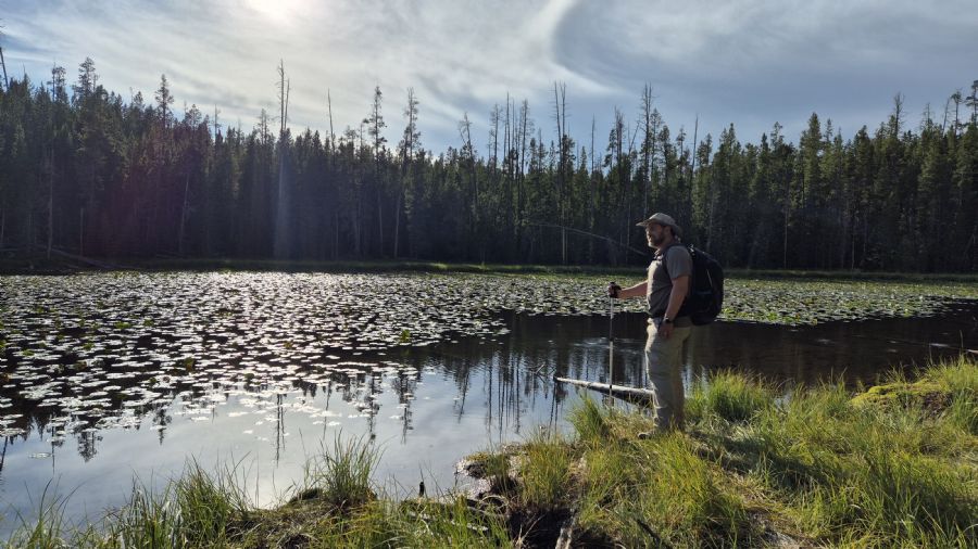 הגראנד קניון של ילוסטון